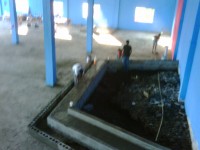 /album/fotogaleria-nosotros/img00337-20101016-1739-jpg/